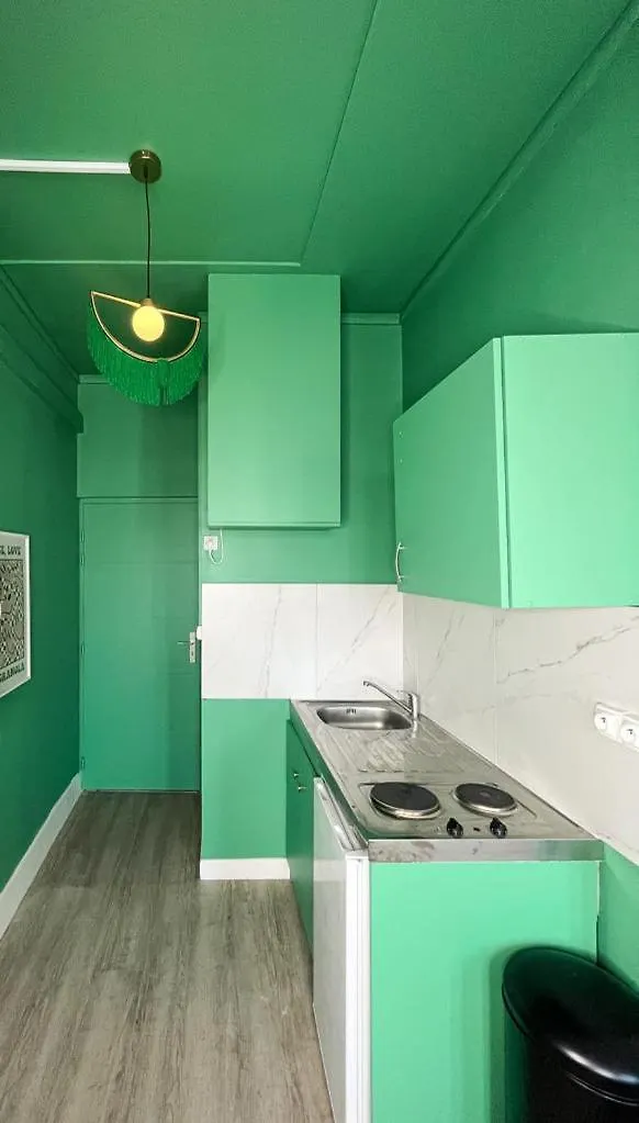 Apartment Suite Medice Green Lyon France