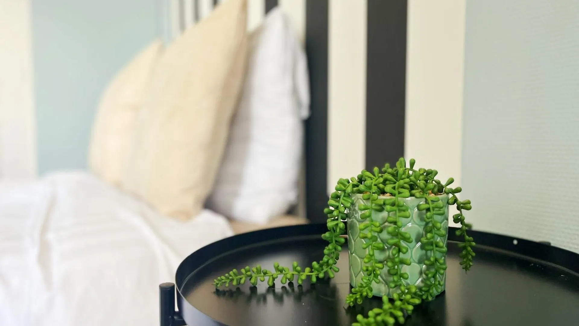Apartment Suite Medice Green Lyon France